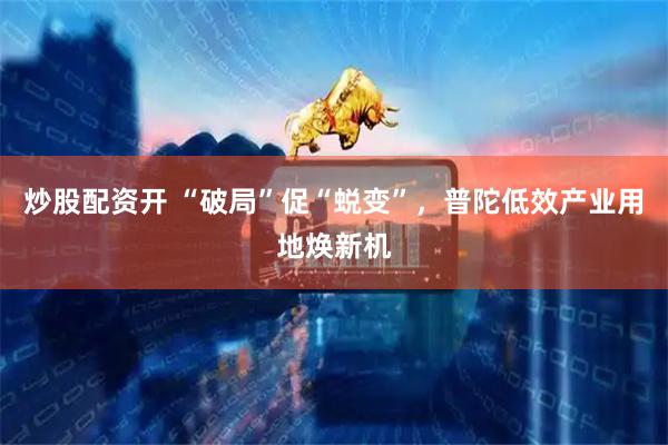 炒股配资开 “破局”促“蜕变”，普陀低效产业用地焕新机