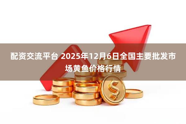 配资交流平台 2025年12月6日全国主要批发市场黄鱼价格行情
