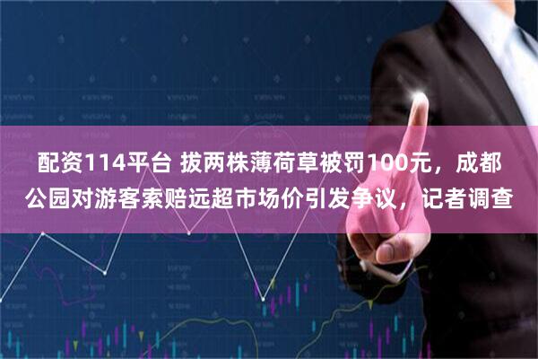 配资114平台 拔两株薄荷草被罚100元，成都公园对游客索赔远超市场价引发争议，记者调查